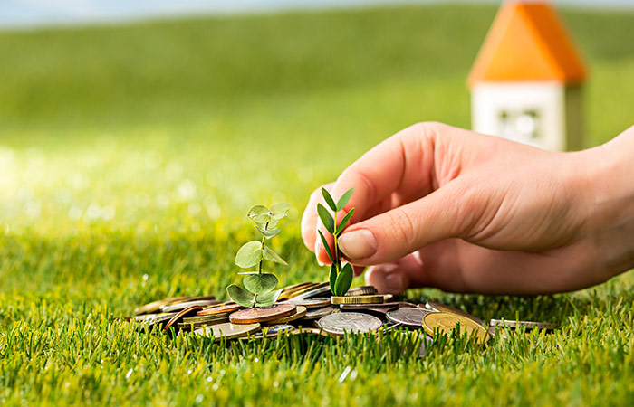 Deposit pension Scheme (DPS)